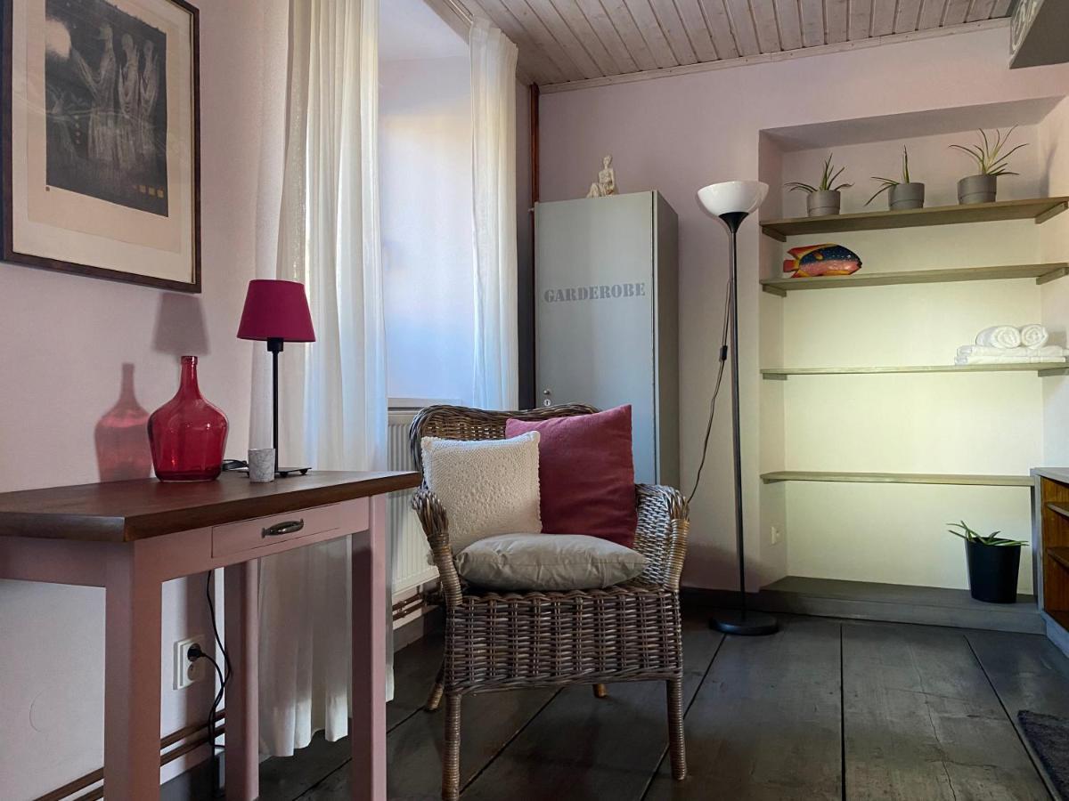 Apartmány Rudík Zelezna Ruda Exterior foto