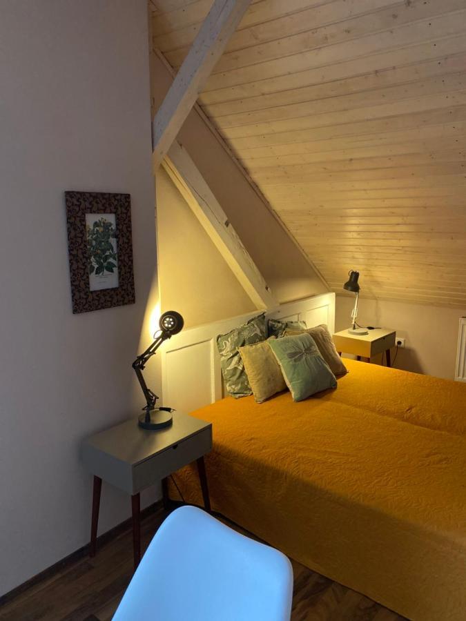 Apartmány Rudík Zelezna Ruda Exterior foto