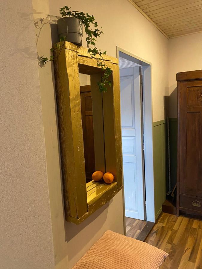 Apartmány Rudík Zelezna Ruda Exterior foto