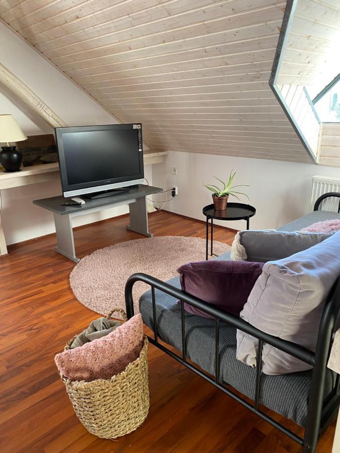 Apartmány Rudík Zelezna Ruda Exterior foto