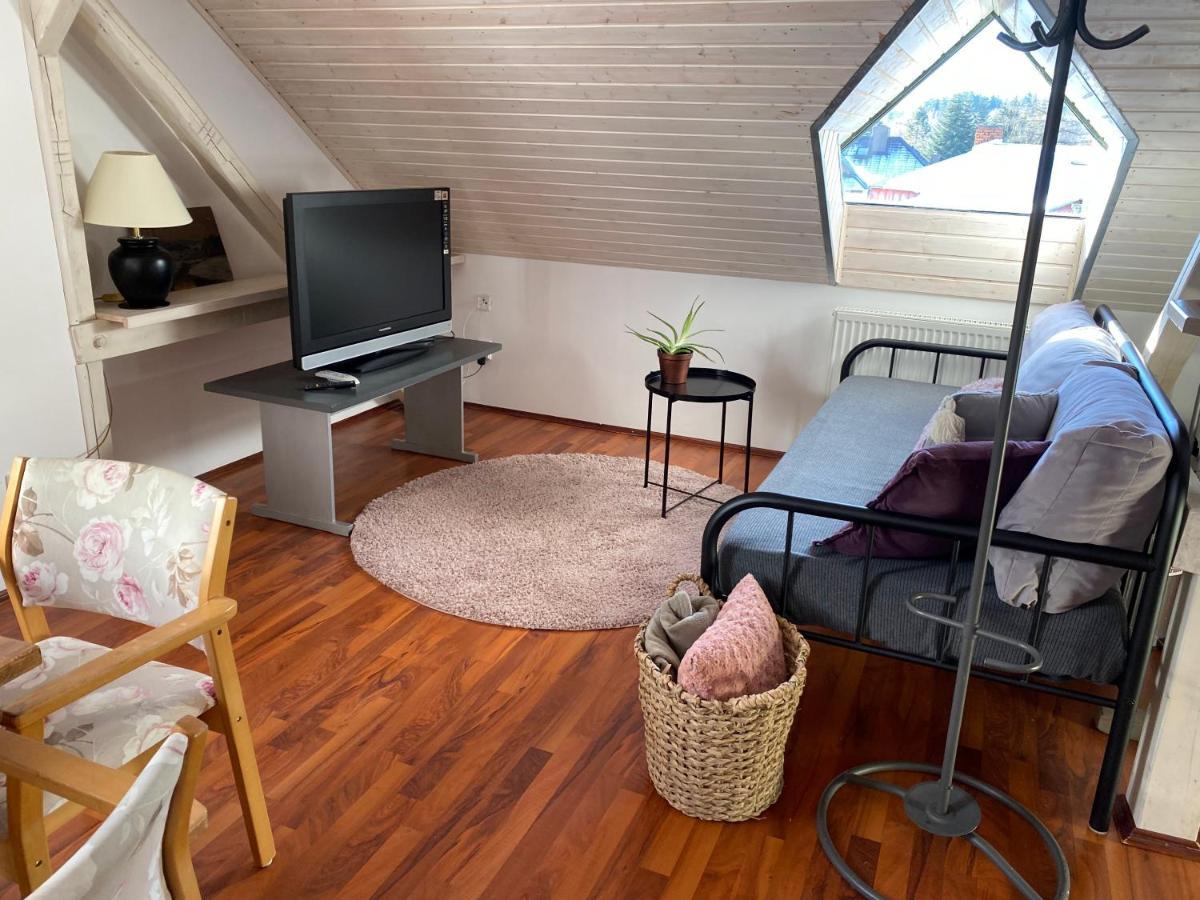 Apartmány Rudík Zelezna Ruda Exterior foto