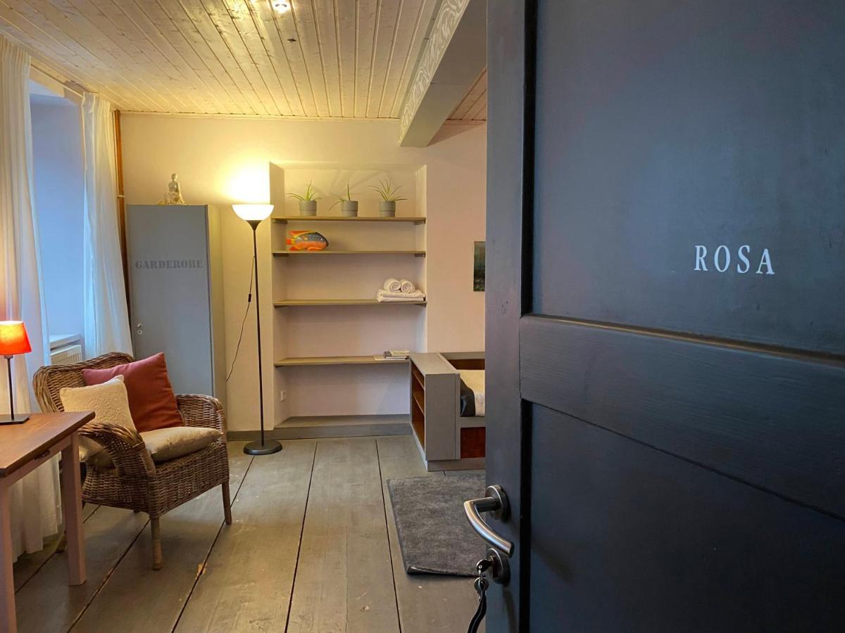 Apartmány Rudík Zelezna Ruda Exterior foto