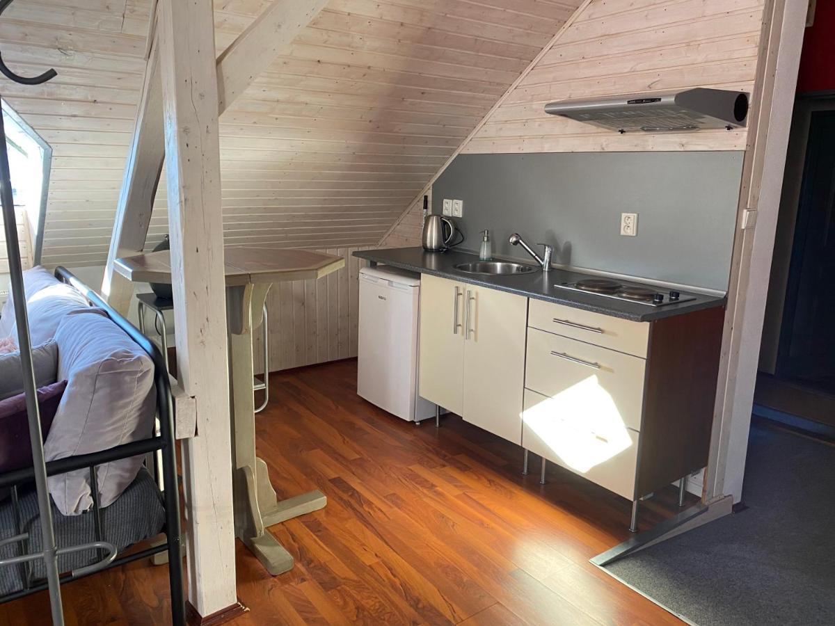 Apartmány Rudík Zelezna Ruda Exterior foto