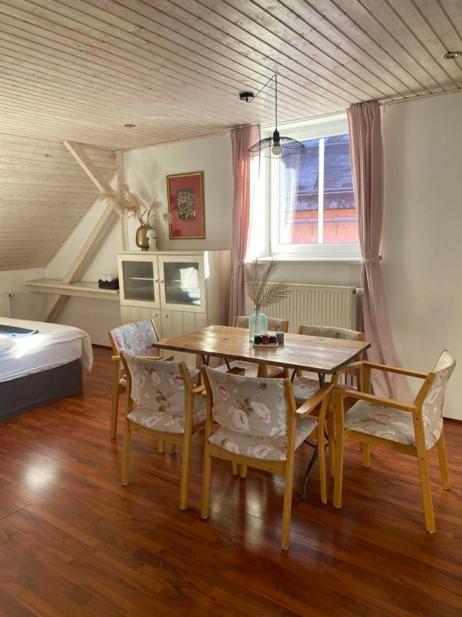 Apartmány Rudík Zelezna Ruda Exterior foto